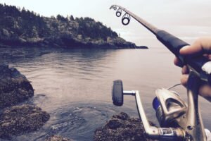 How I Use Social Media and My Website to Attract Subscribers