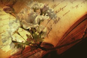 An Easy Way for Writers to Find the Right Words