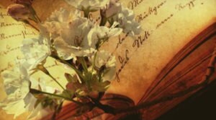 An Easy Way for Writers to Find the Right Words